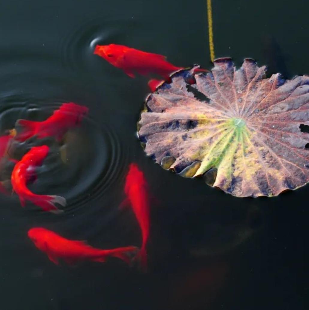 #THISISGZIKNOW# Photos | Wonderful moments in Guangzhou (XVII)