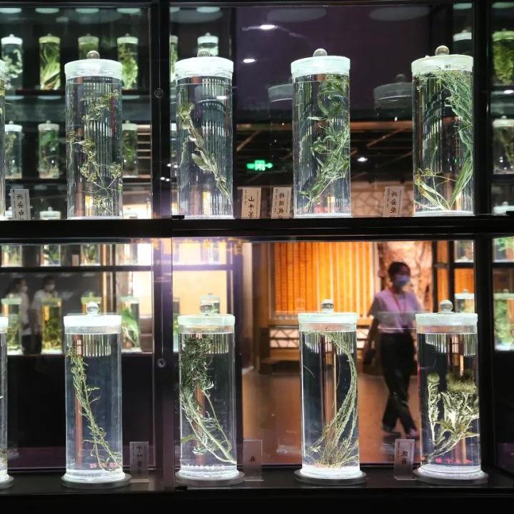 Photos | Eight must-see museums in Guangzhou (Ⅲ)