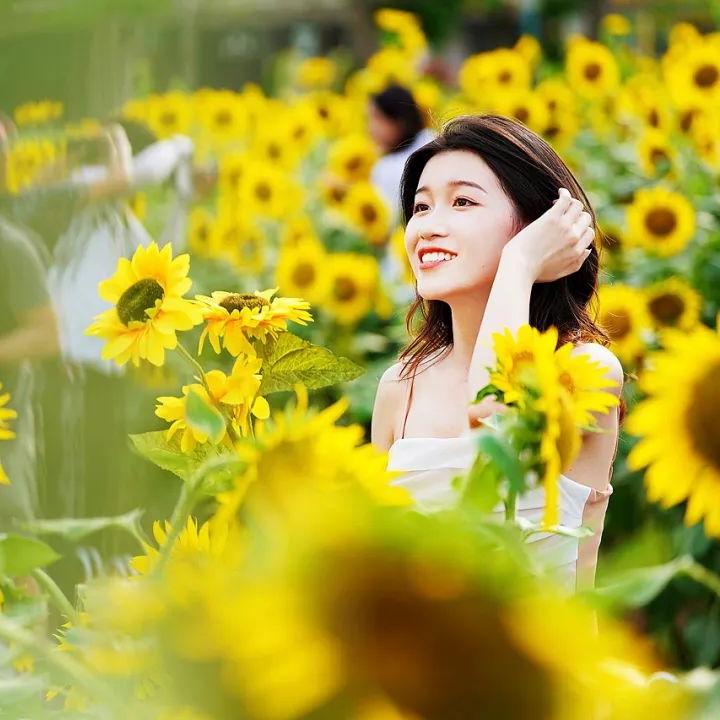 Best places to discover Guangzhou's natural beauty