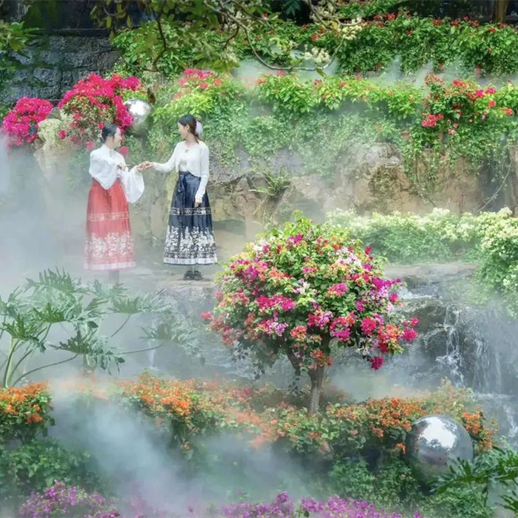 Bougainvillea exhibition held in Baiyun Mountain