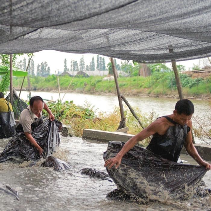 German designer explores China's centuries-old silk fabric tradition