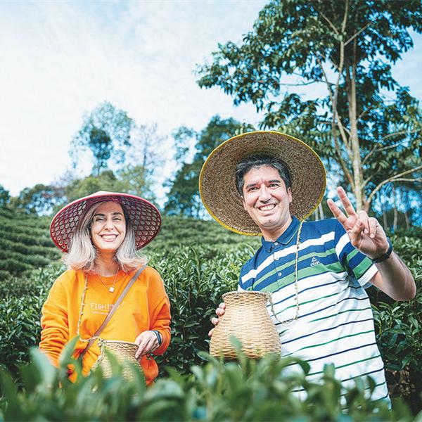 Distinctive Liupao tea finds a global growth flavor