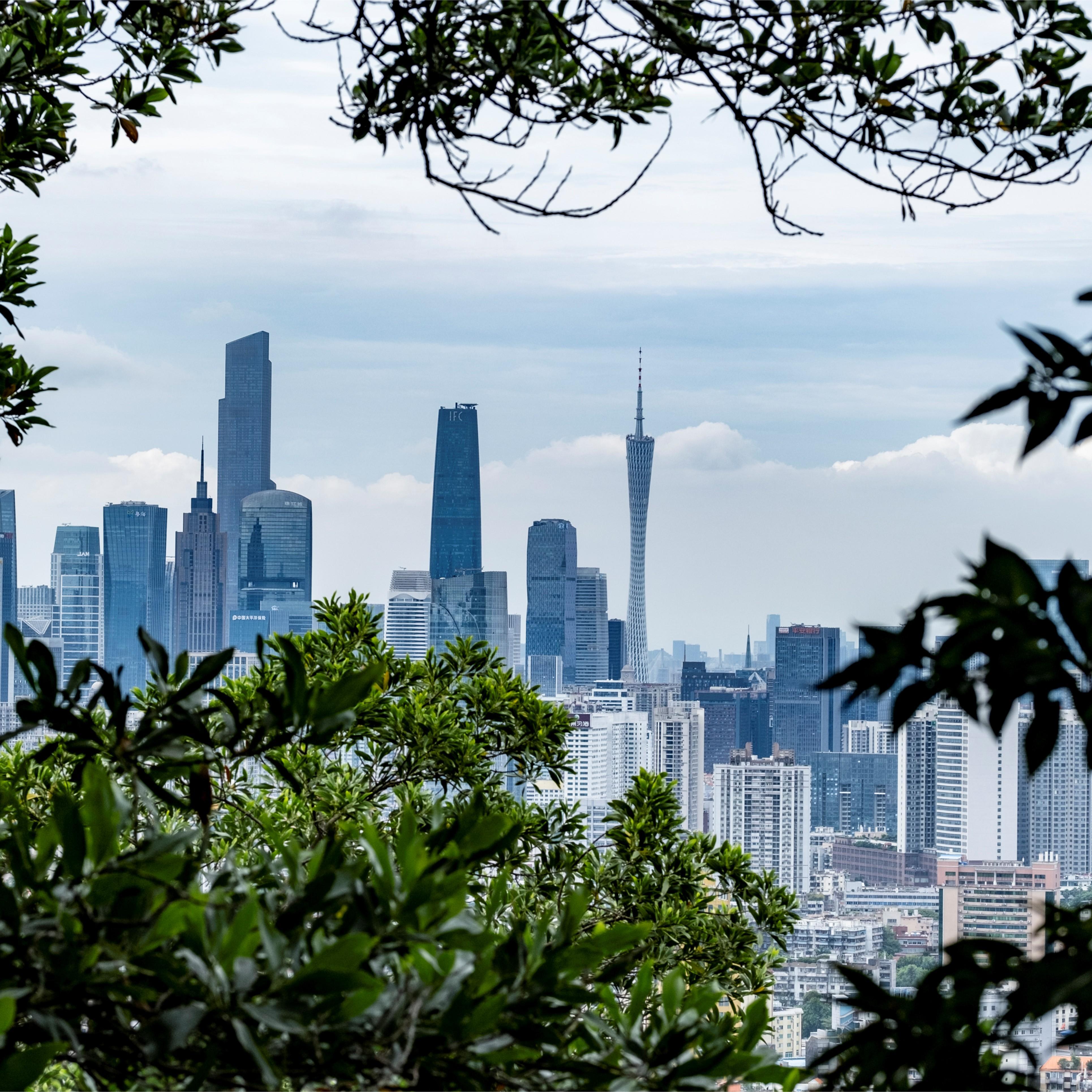 China's Guangzhou empowers private sector with finance and technology