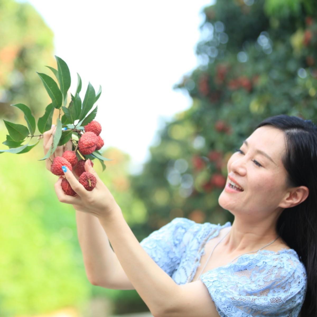 Guangdong's lychee exports up sharply in Q2