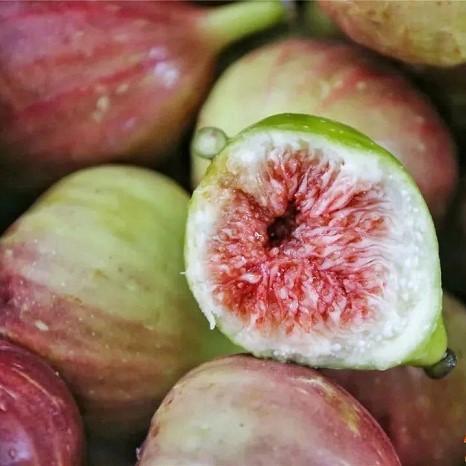 Discover some of Baiyun's seasonal favorites