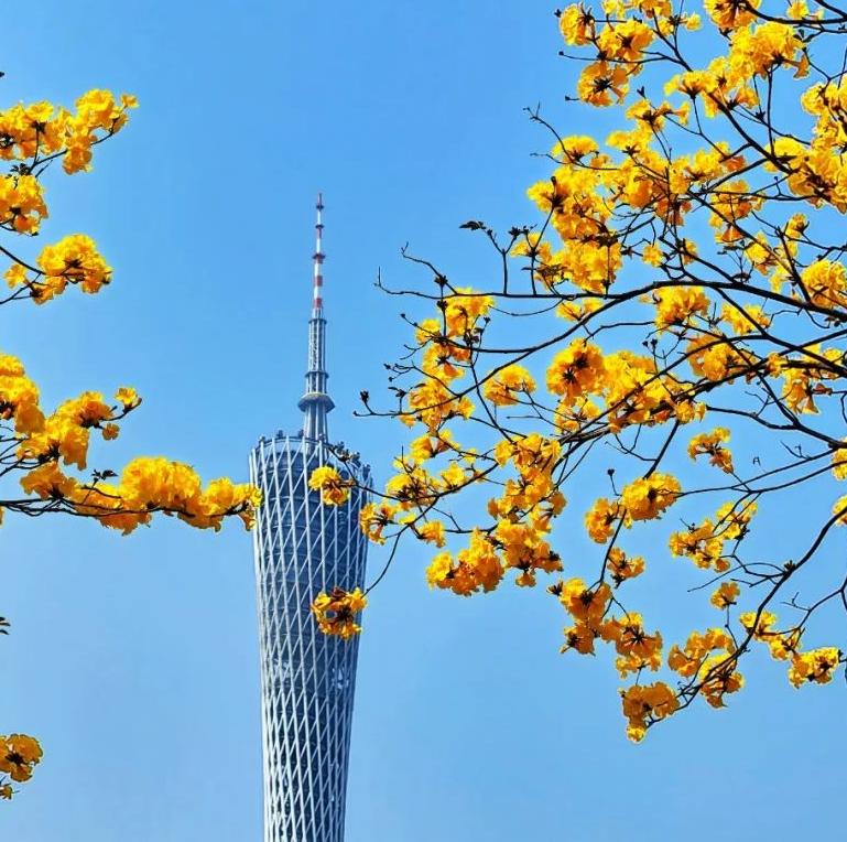 #THISISGZIKNOW# Photos | Glamor of GZ in this spring (Ⅲ)