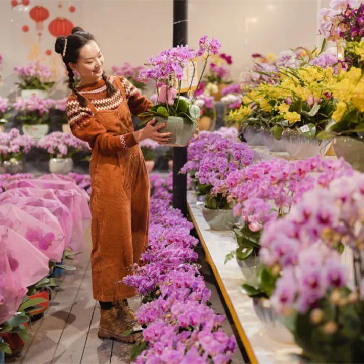 Wholesale markets in Guangzhou for buying New Year goodies