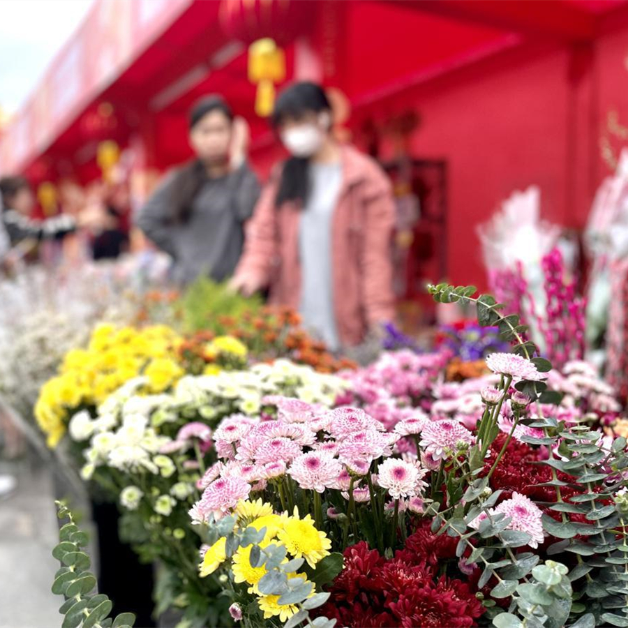 Guangzhou greets Lunar New Year with flower markets
