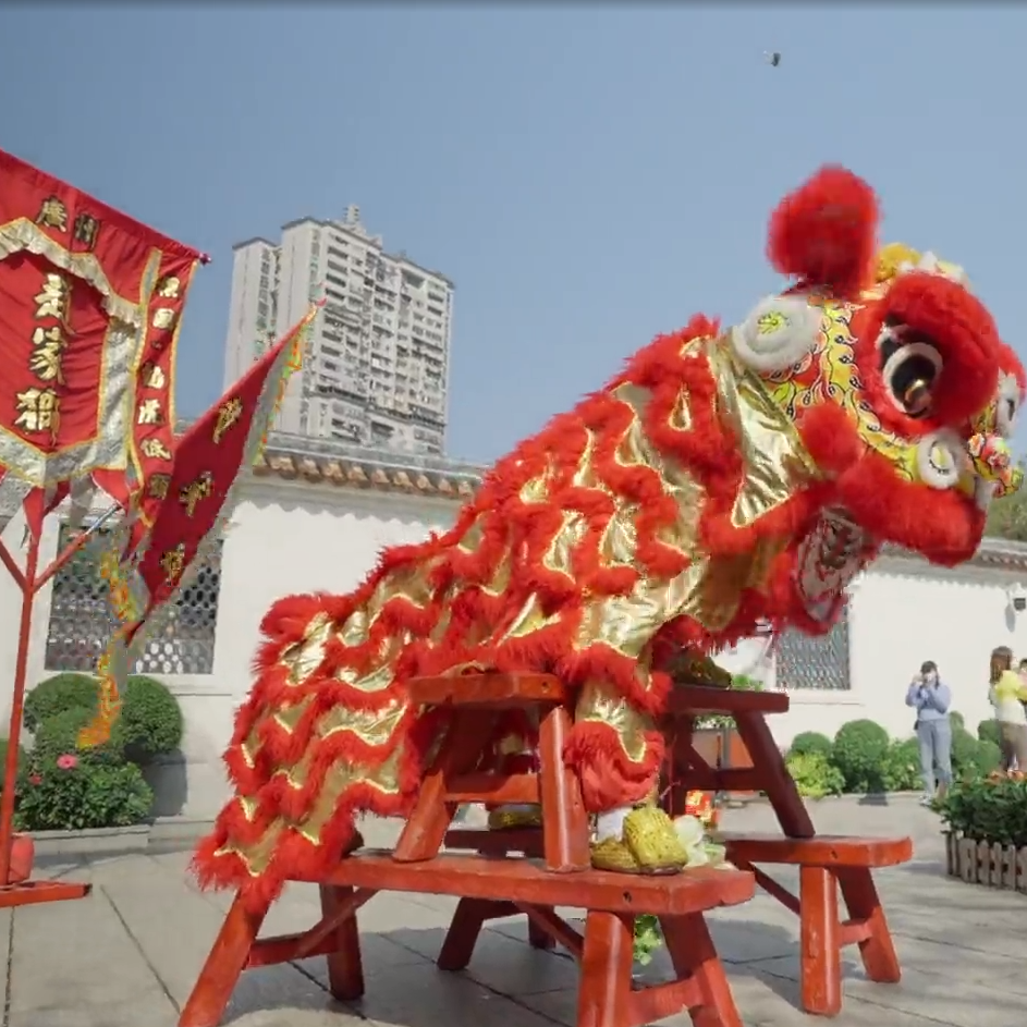 Cantonese Lion Dance | Episode 7: Dancing Lion's Emotions (Part 1)