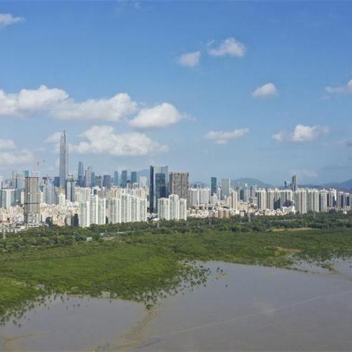 South China's Guangdong releases region's catalog of insects