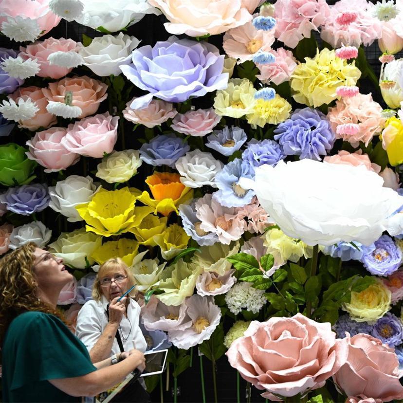 Canton Fair puts focus on household commodities