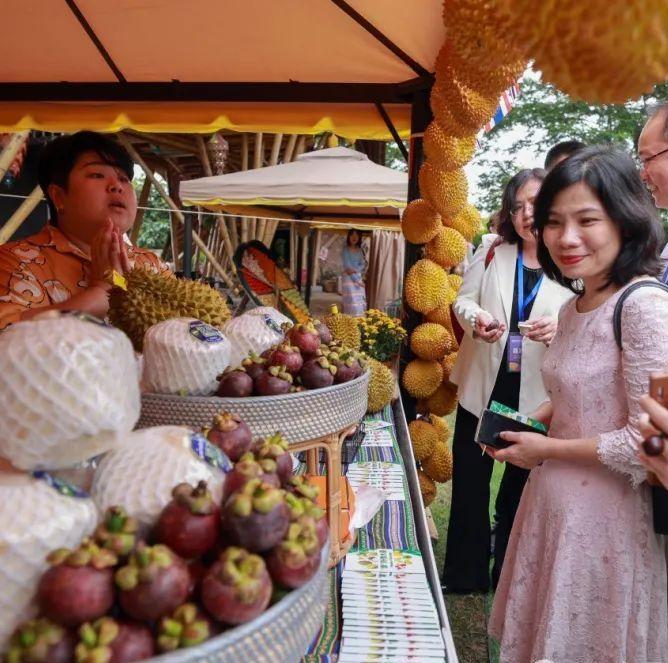 China sees thriving fruit trade with Mekong River countries