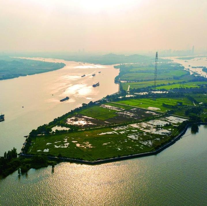 Five picturesque islands in Guangzhou to chill your summer vacation