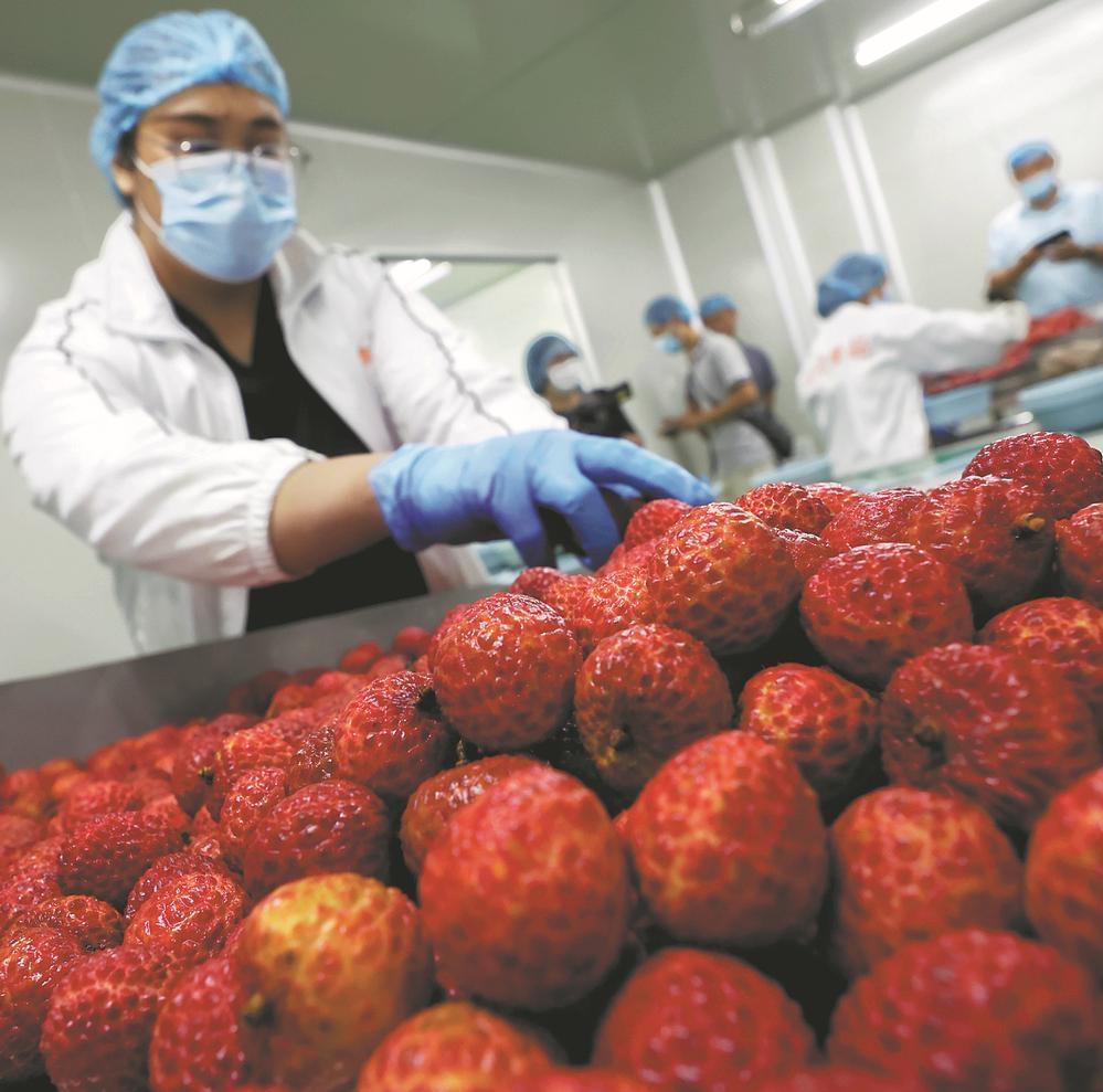 Lychee freshness sees quantum leap