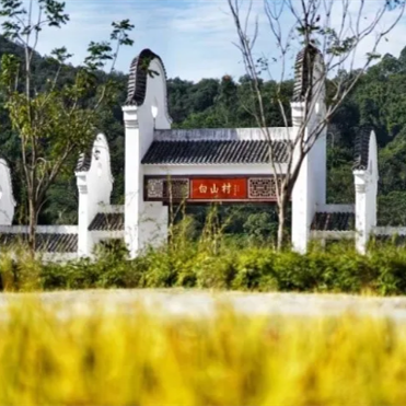 The first Golden Harvest Carnival to be held in Guangzhou