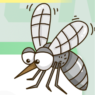 Guangzhou takes action to curb dengue fever cases