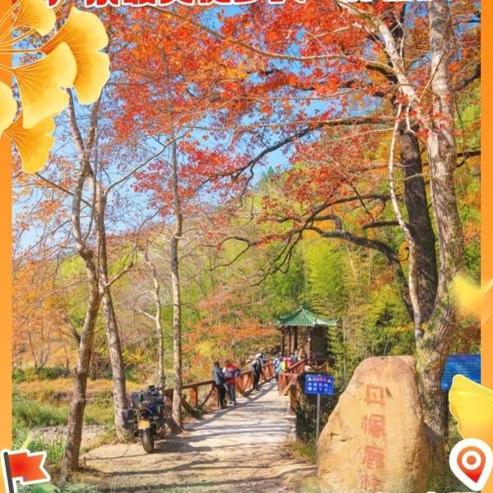 Outdoor activities to enjoy Guangzhou's autumn