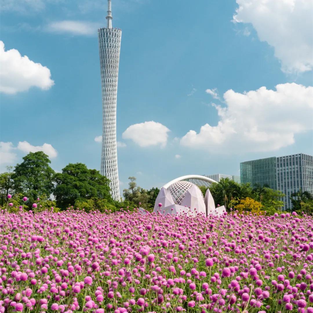Time-limited sea of flowers for stunning photos