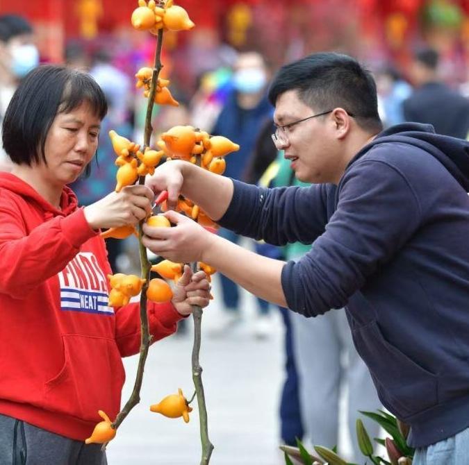 Guangzhou gears up to welcome Chinese New Year with flower markets (Ⅱ)