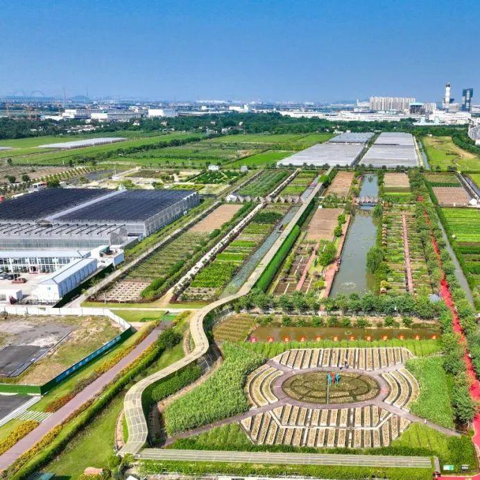 Agricultural global investment conference to be held in Nansha