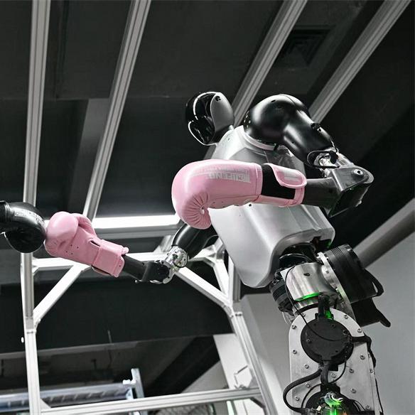 China's humanoid robots to take on factory work, household tasks, half-marathon