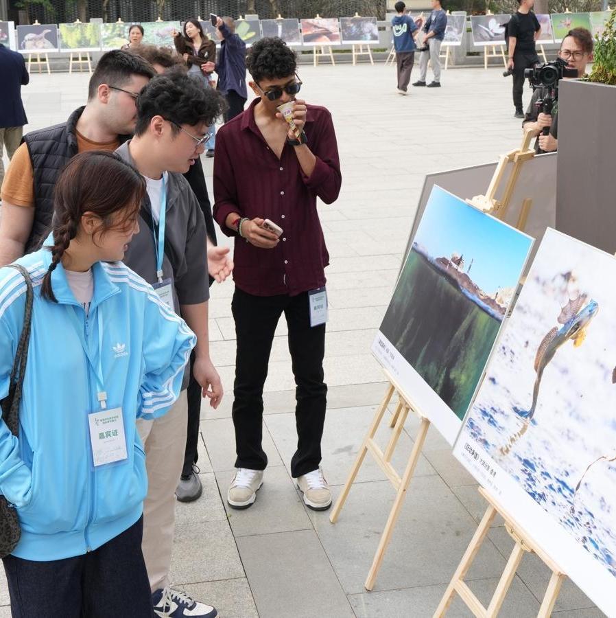 Photo exhibit depicts Guangdong's diverse wildlife