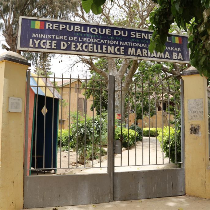 Feature: Senegalese students forge lifelong bonds in China exchange program