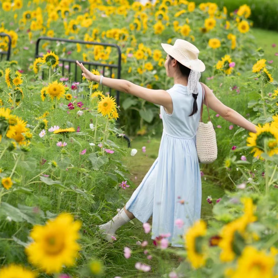 Sunflowers in full bloom near Guangzhou metro station