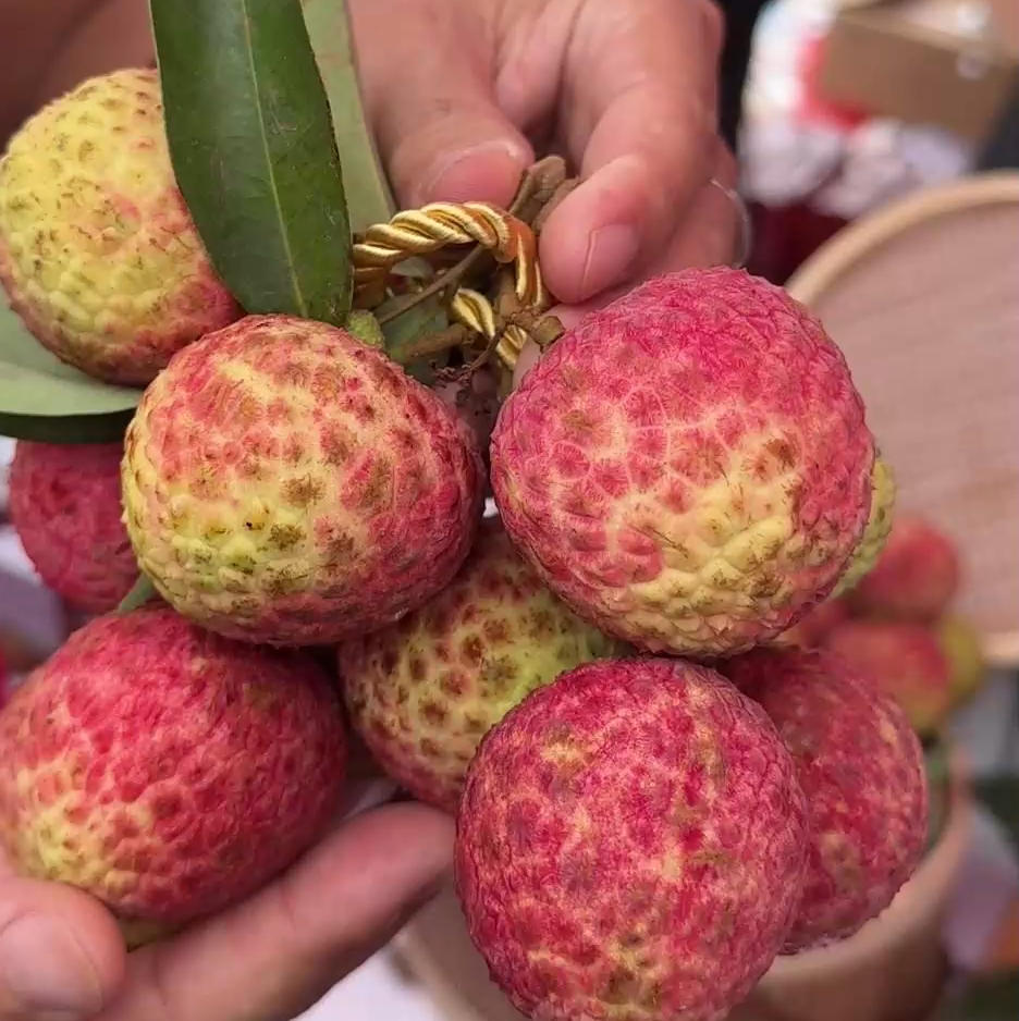 Juicy Lychee, Sweet Bliss