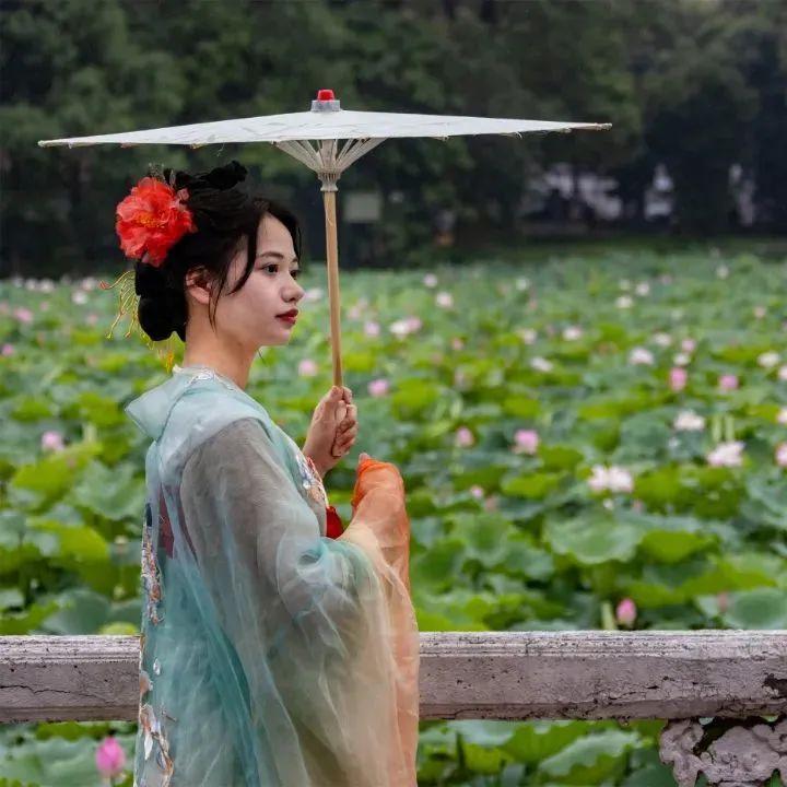 Come and discover the lotus paradises of Guangzhou!